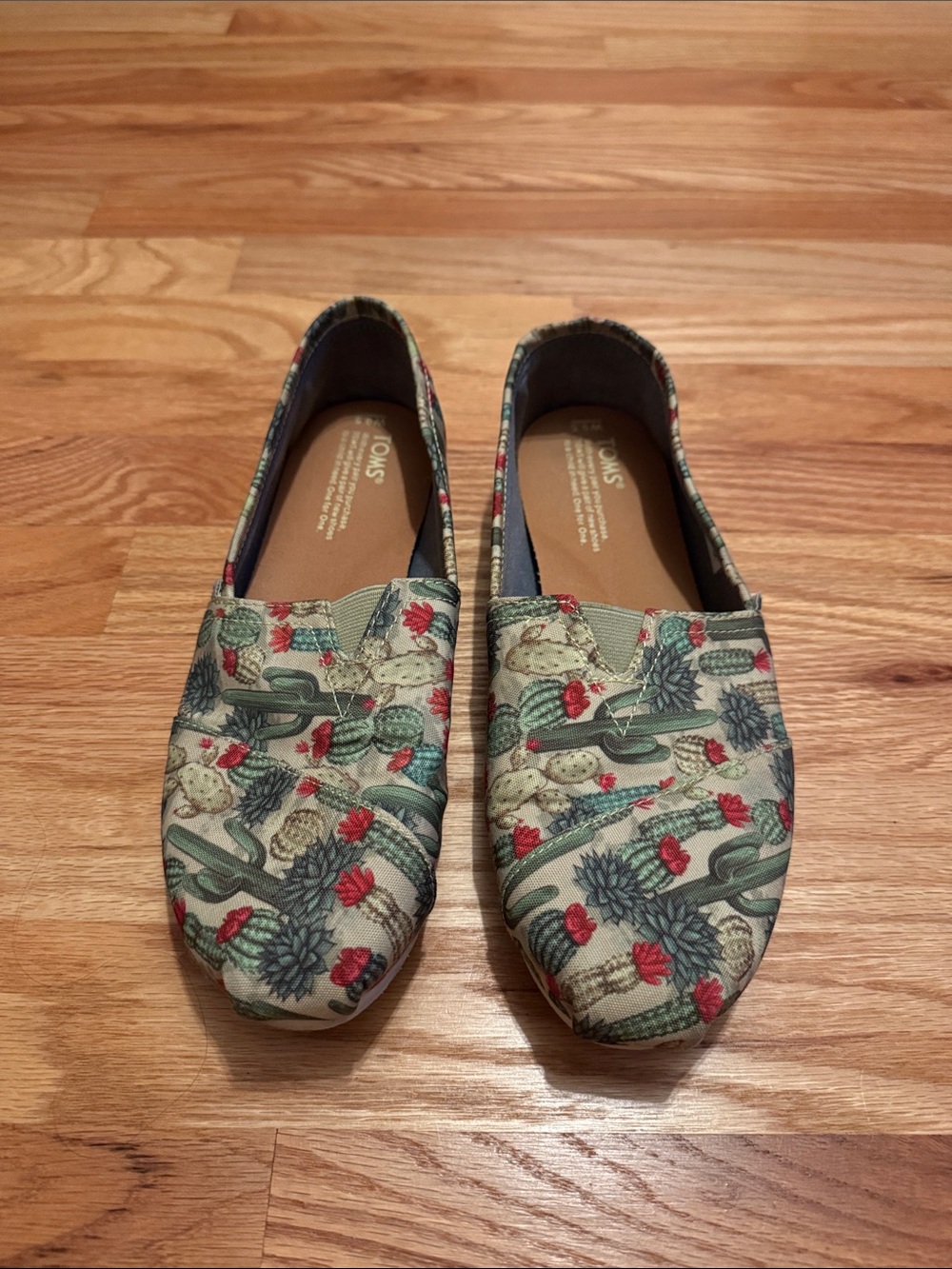 TOMS Canvas Slip-Ons with Cactus & Floral Print in Green, Cream & Red W9.5